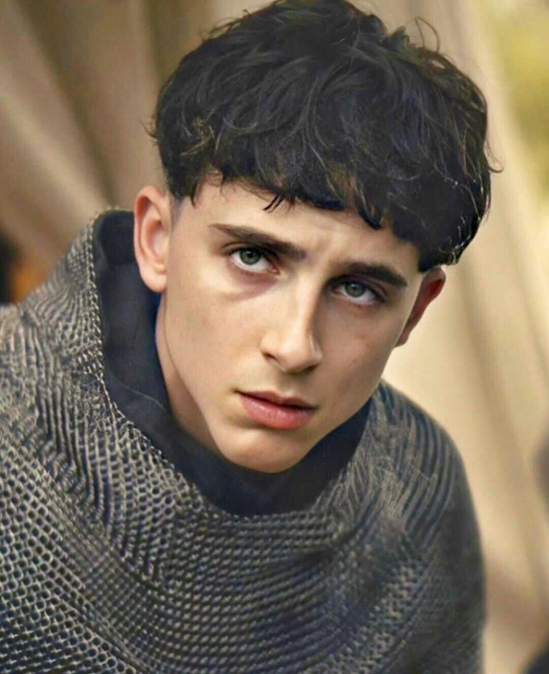 Timothée Chalamet with soft blowout taper